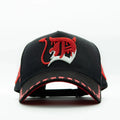 GORRA DREAMER HATS “Drevil”